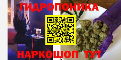 спиды Волгодонск