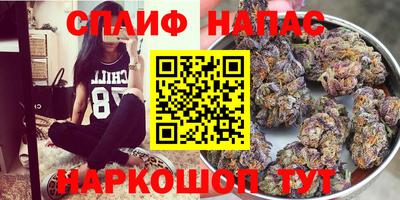 спиды Волгодонск