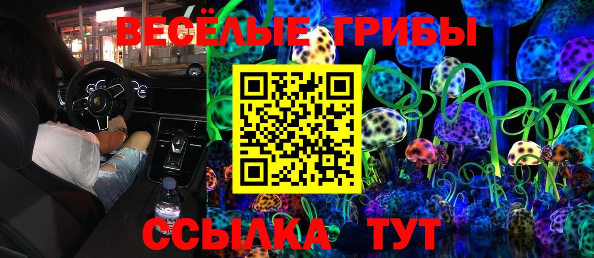 Галлюциногенные грибы Psilocybe Армавир